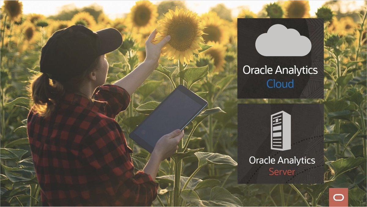 OracleAnalytics's tweet image. Feeling sluggish in this summer weather? Oracle Analytics Cloud can help power your organization’s analytics in any environment, cloud or on-premises. social.ora.cl/6019zdloF #OracleAnalyticsCloud #OracleAnalyticsServer