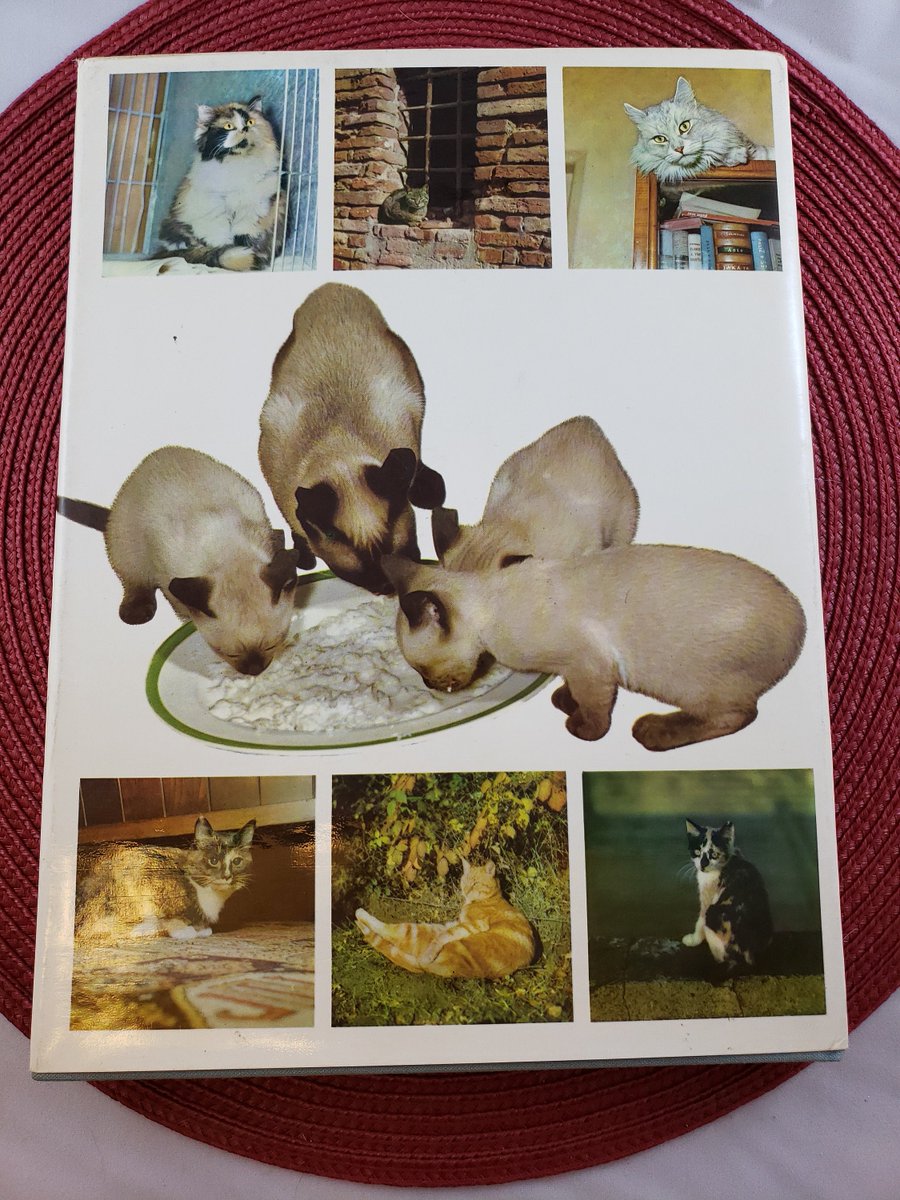 atticesoterica's tweet photo. Vintage 1968 Cats Cats Cats Cats Hardback Book With Dust Cover By Paul Hamlyn, Facts, Figures, Fantasy, Folklore, Fads, Fancies https://t.co/zOyUuWlkaw #Collectibles #Curios #Vintage #AtticEsoterica #Etsy #Antiques #BestOffer #CatsCatsCatsCats https://t.co/POmkliTWDg