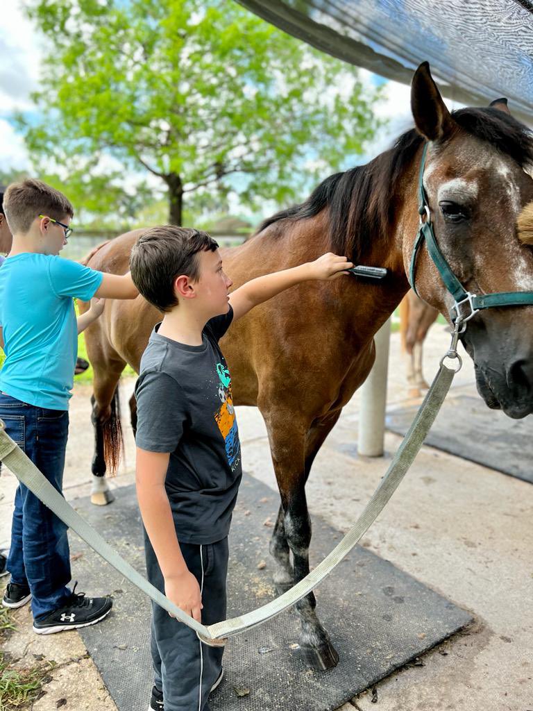 ‼️June Orientation Spots Avaliable‼️
Don’t miss our last orientation for the summer! Our next one will be planned for August 2022. Reserve your spots now by emailing lindsey@helpthehorses.org!
To learn how to become a volunteer, please visit our website. Link is our bio.
