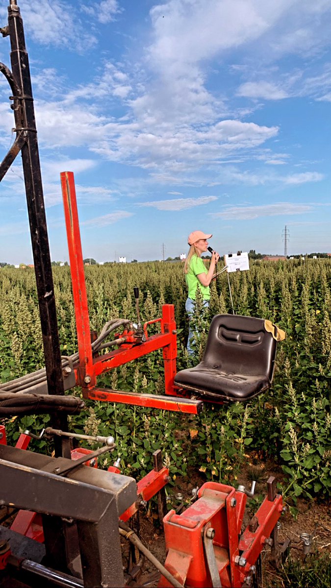 BertjanOlivier's tweet photo. Boeiende biovelddag bij @InagroBeitem! 🧑‍🌾🌱 https://t.co/oHt9ynDqEK