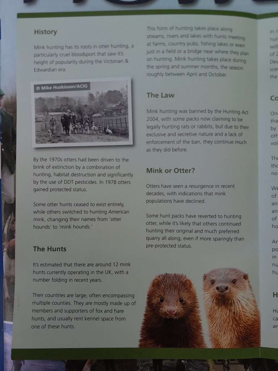 cliveswinsco's tweet photo. Very Happy #SummerSolstice2022 
 Please help make this #Summer even better by helping our #BoldHSA @HuntSabs flush out these summer bloodsports sadists who hunt up &amp; down our #rivers 
 Let's END #RiverbankHunting 
  for Good @wyhuntsabs @east_sabs @dorsethuntsabs @SheffHuntSabs https://t.co/g6PBP6FSuU