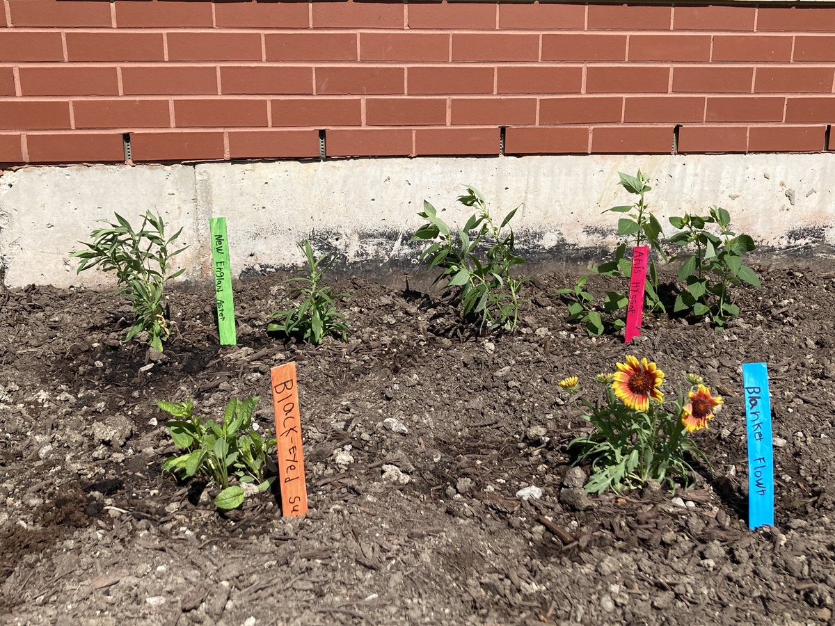 Garden club has started planting our pollinator garden thanks to a grant from @CWF_FCF #cwfwildspaces