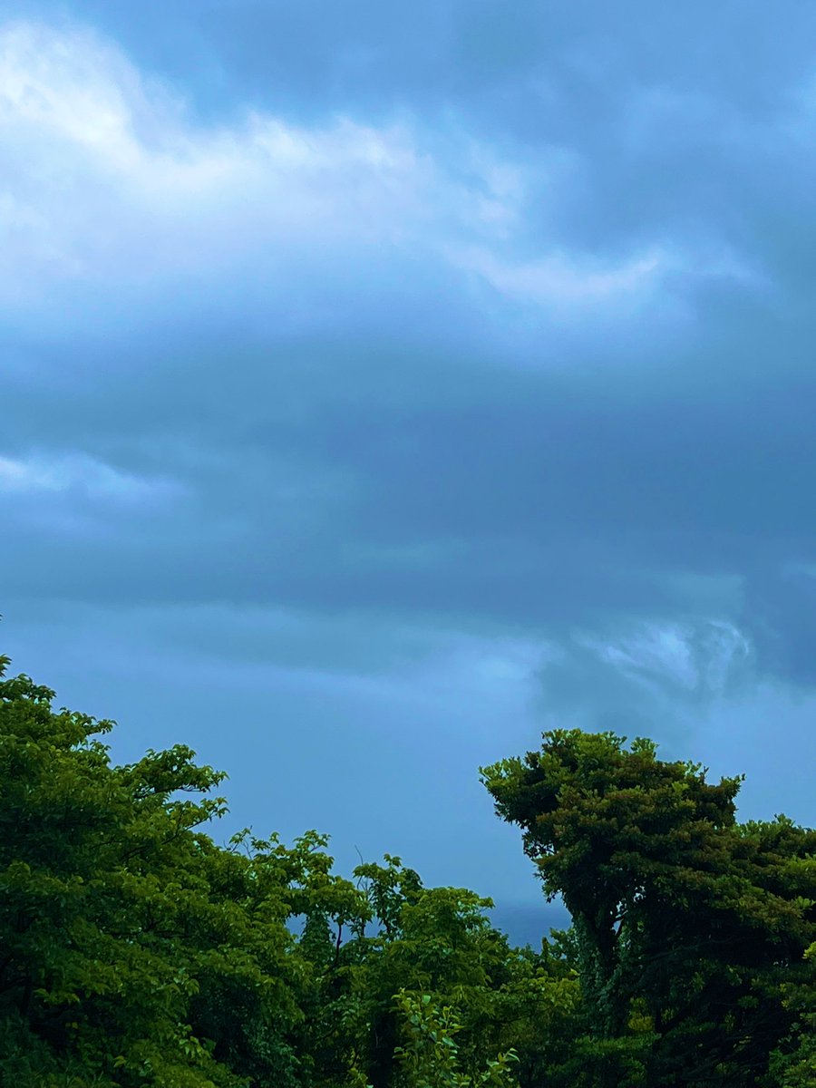 本日もよろしくお願いいたします^_^✌️ こちらは弱い雨☂️で蒸し暑い感じです 本日も皆様御安全にお過ごしくださいませ^_^✌️