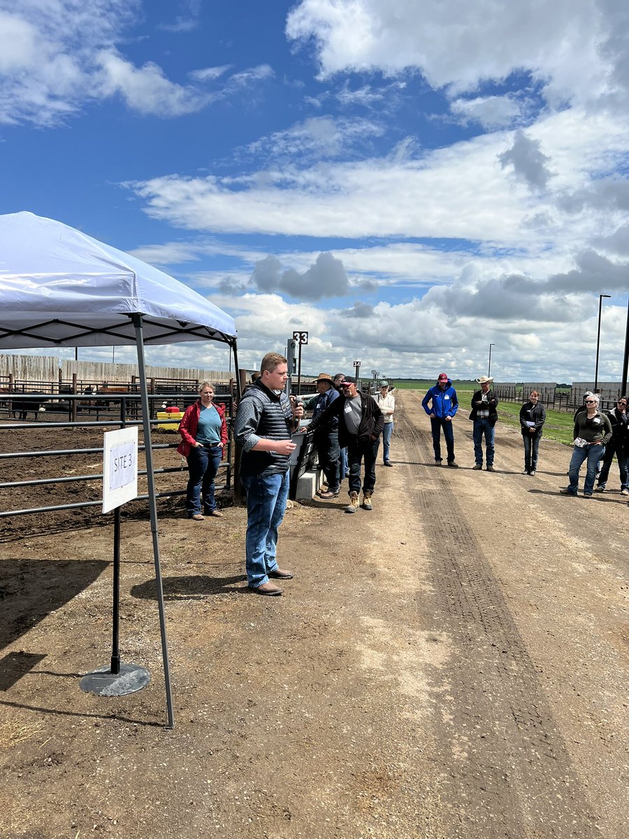 RibeiroLabUsask's tweet photo. Great time at the @LFCE_usask field day! Listening to @reccattle @T_Paterson15 @BradWelter talking about cattle feed, liver abscess, and drought management. @agbiousask @WCVMToday @usask https://t.co/WUkLupl0UA
