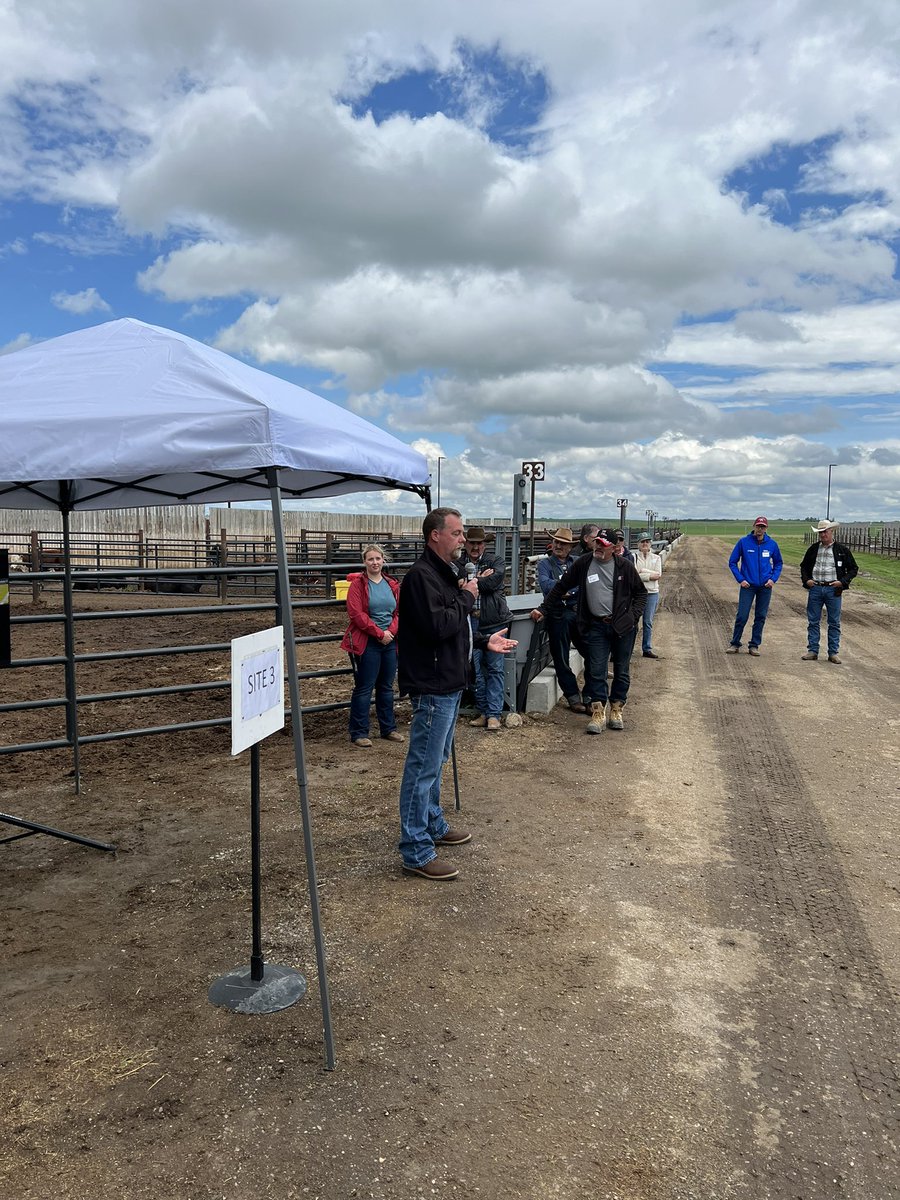 Great time at the <a href="/LFCE_usask/">Livestock & Forage Centre of Excellence</a> field day! Listening to @reccattle <a href="/T_Paterson15/">Tyen Paterson</a> <a href="/BradWelter/">Brad Welter</a> talking about cattle feed, liver abscess, and drought management. <a href="/agbiousask/">USask AgBio</a> <a href="/WCVMToday/">WCVM Today</a> <a href="/usask/">U of Saskatchewan</a>