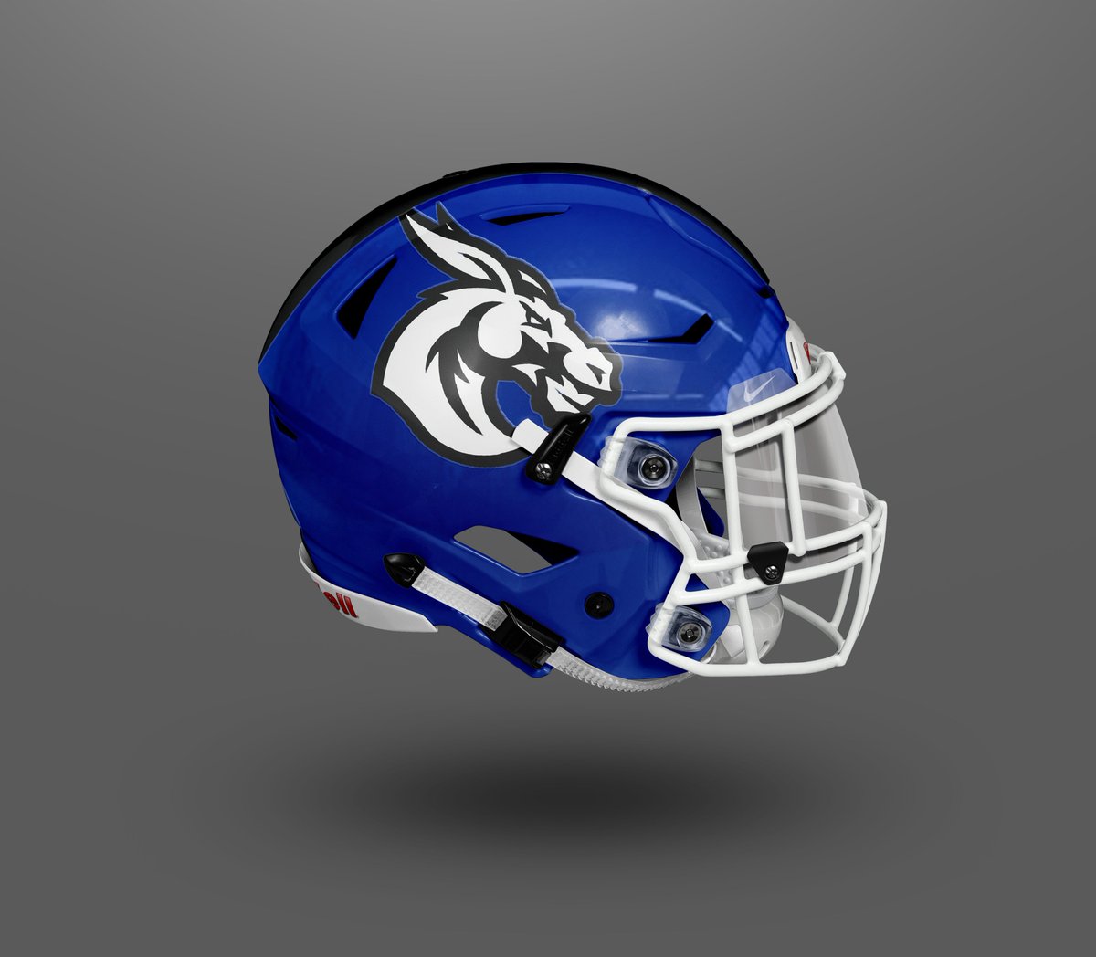 Missouri Helmet Project tweet media