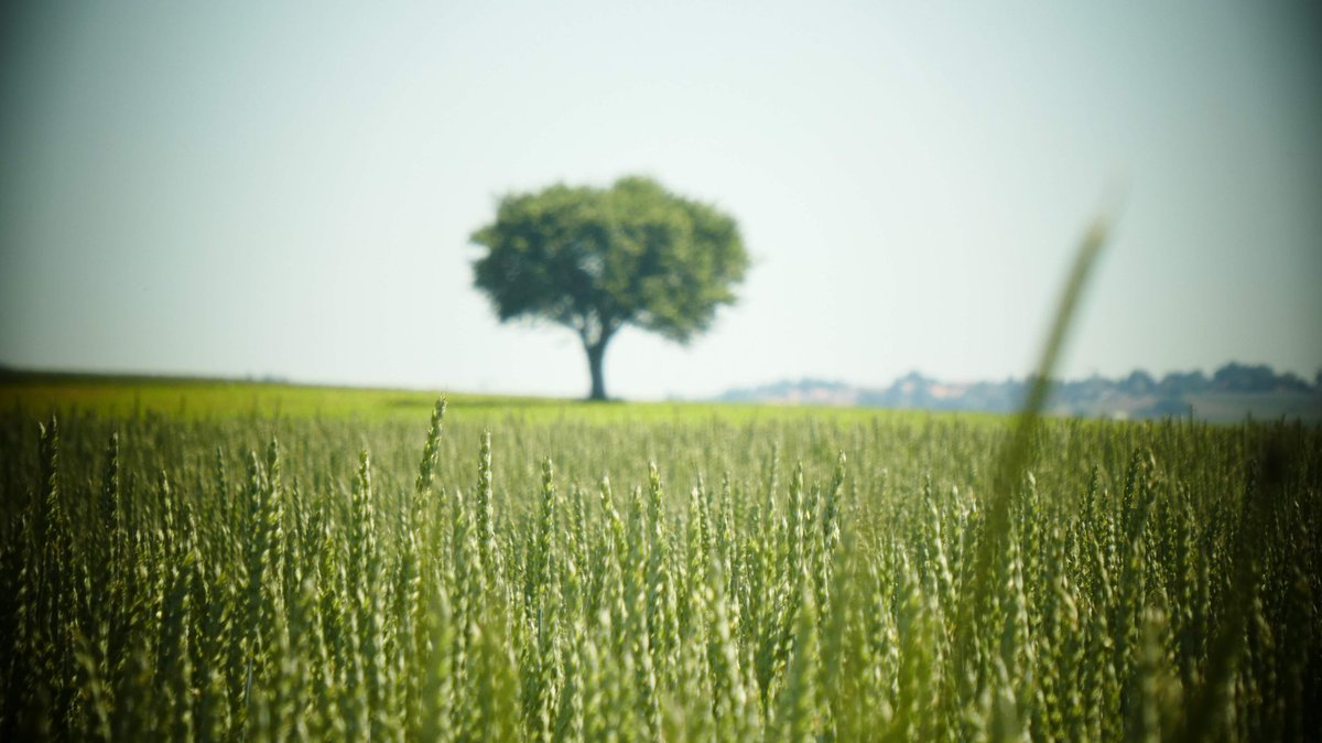 wongsusie (@withnomoney) on Twitter photo 