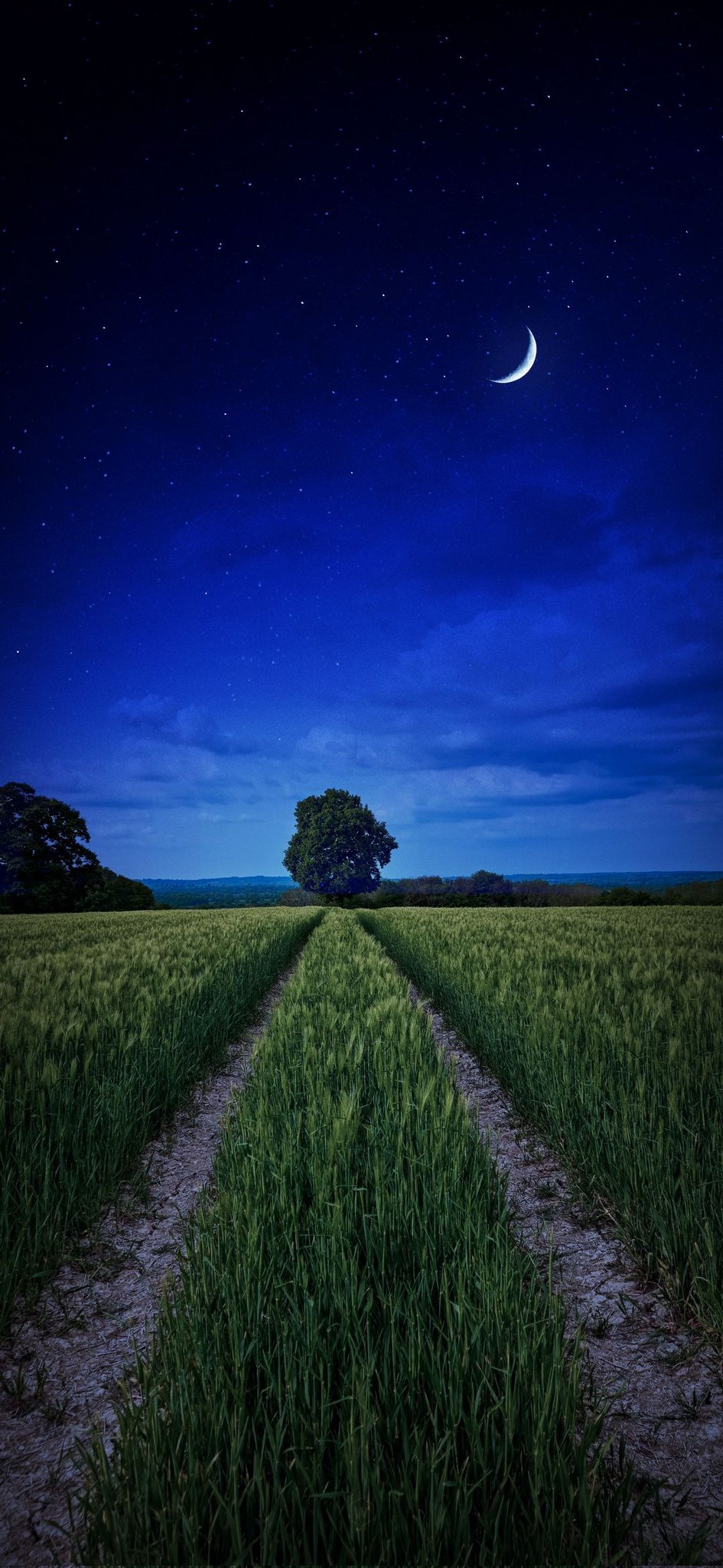 Wallpaper on Twitter: Wallpaper on Twitter: