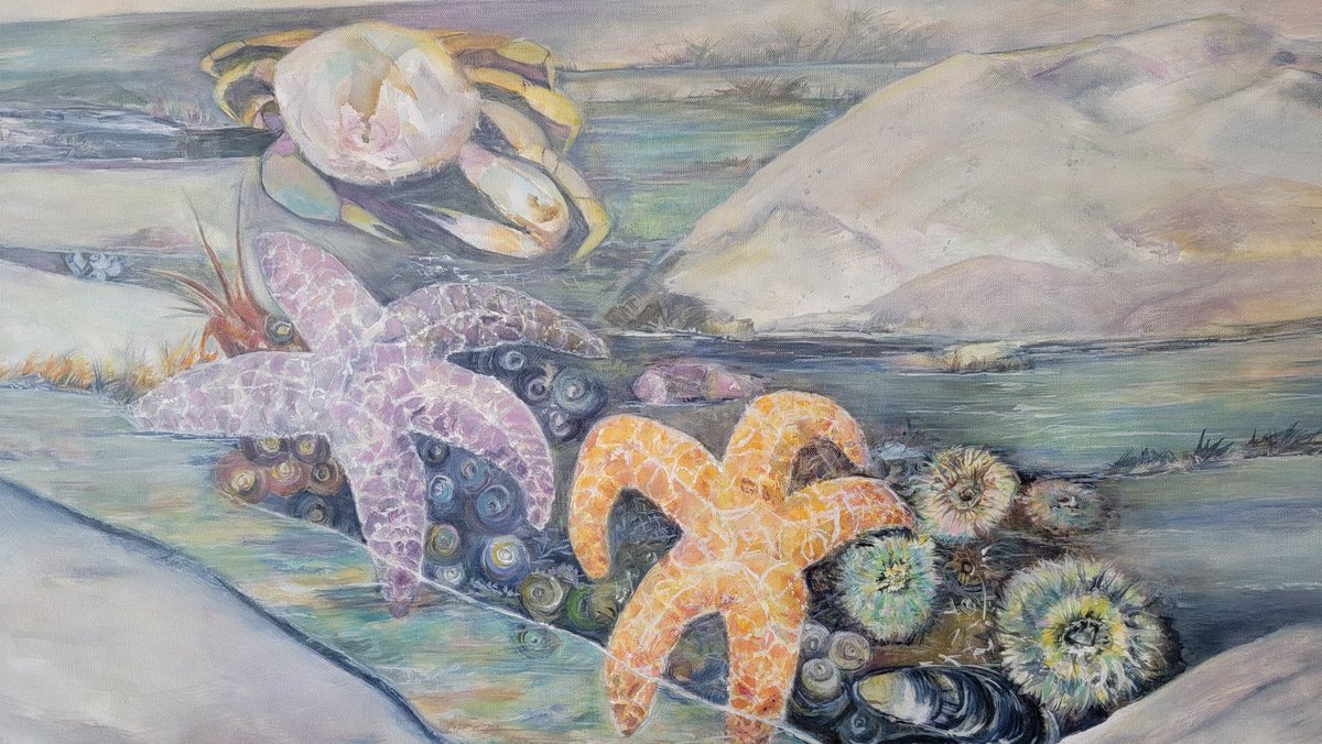 Channel Islands Maritime Museum tweet media