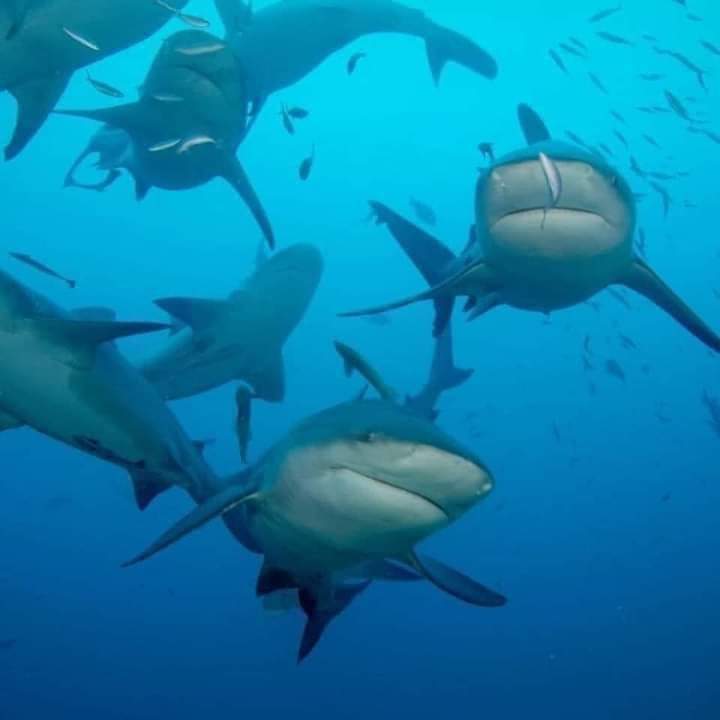 لولاد نقصو مالكلام الزايد عم نجيب متعدي ...