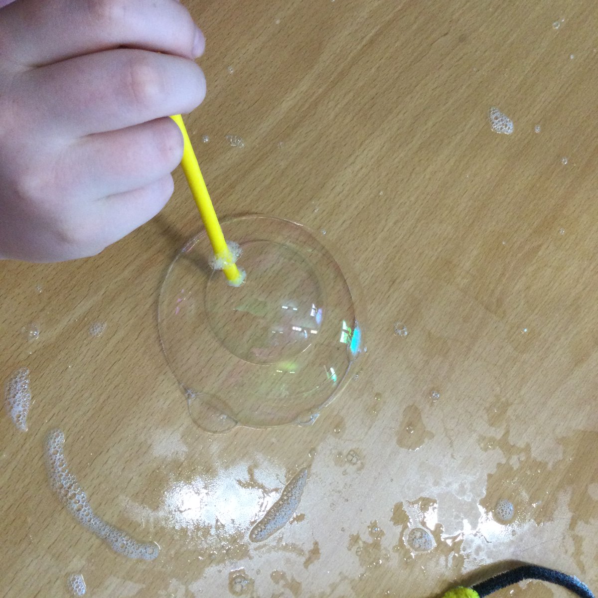 Hedgehogs_HMCS's tweet photo. Exploring bubbles #curious #science @Burley_HMCS @HMC_School @GreatSciShare https://t.co/cdAEychDqK