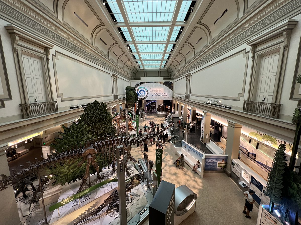 On the Mall with our Ravens…loving the museums