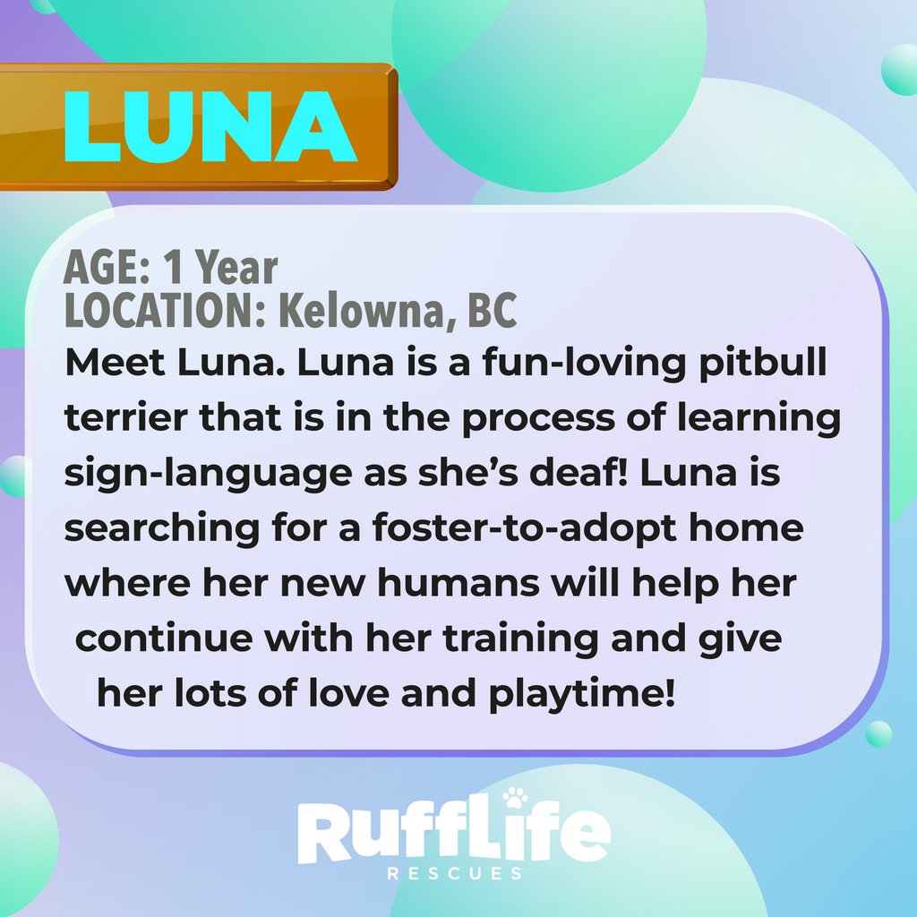 RuffLife Rescues. tweet media