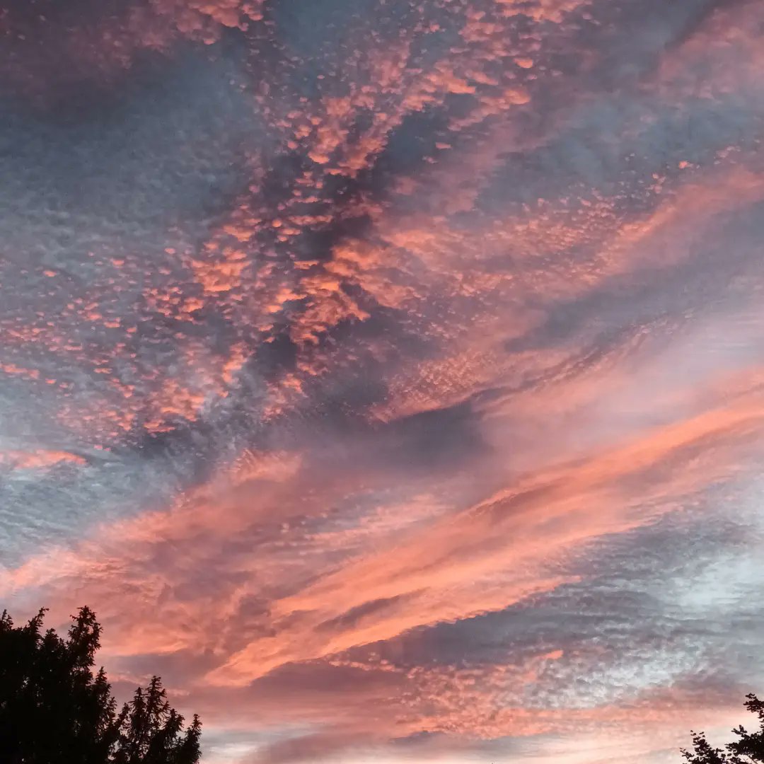 KorteBarbara's tweet photo. Abendrot.
#Göttingen #Weende #Abendstimmung https://t.co/mn9UnOsgc2
