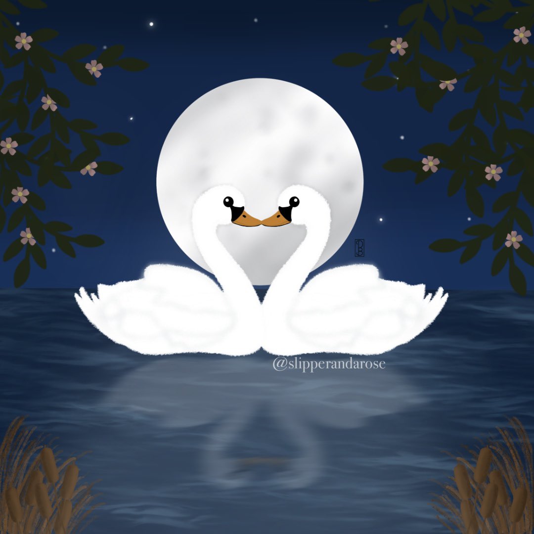 Swans will always be special to us CS/Emma fans #CaptainSwan #EmmaSwan