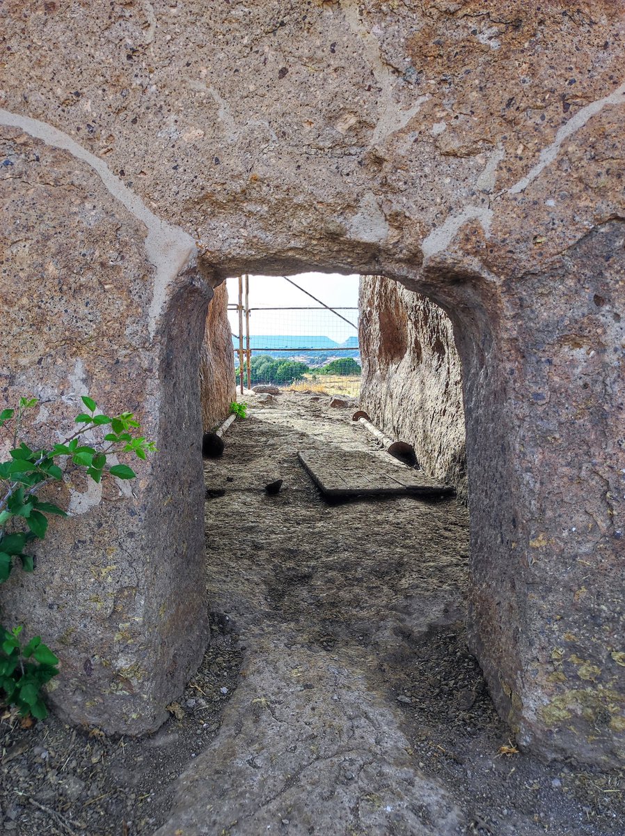 bimboinspalla's tweet image. Oggi con il mio gruppo di piccoli esploratori siamo andati a trovare un vecchio amico che, nonostante l'età, sopporta ancora bene il caldo di questa torrida #Estate2022 

@SardegnaTurismo @MuseoArcheoCa @beni_culturali @SardegnaG