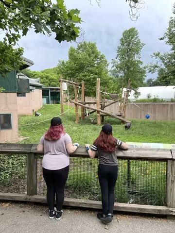 Today is the first day of summer! It is a great opportunity to spend time with family and friends outdoors. Visit one of our partner zoos to enjoy the TRAKID Scavenger Hunt Experience today!

#explore #Familyfun #TRAKID