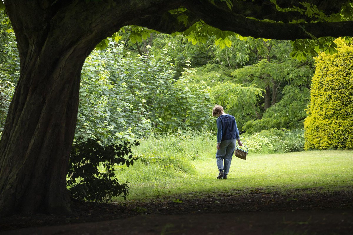 Commissioned recently for Guardian G2: Gardening journalist Alys Fowler foraging in her local park. This one wasn’t used, but I quite like it. #alysfowler #gardening #guardian #g2 #guardiang2 #foraging