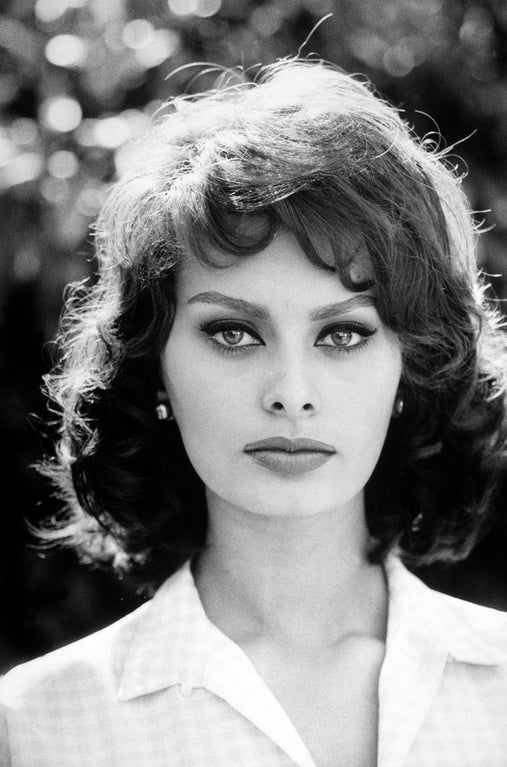 Sophia Loren In The S Sophia Loren Sophia Loren Photo Sophia Hot Sex Picture