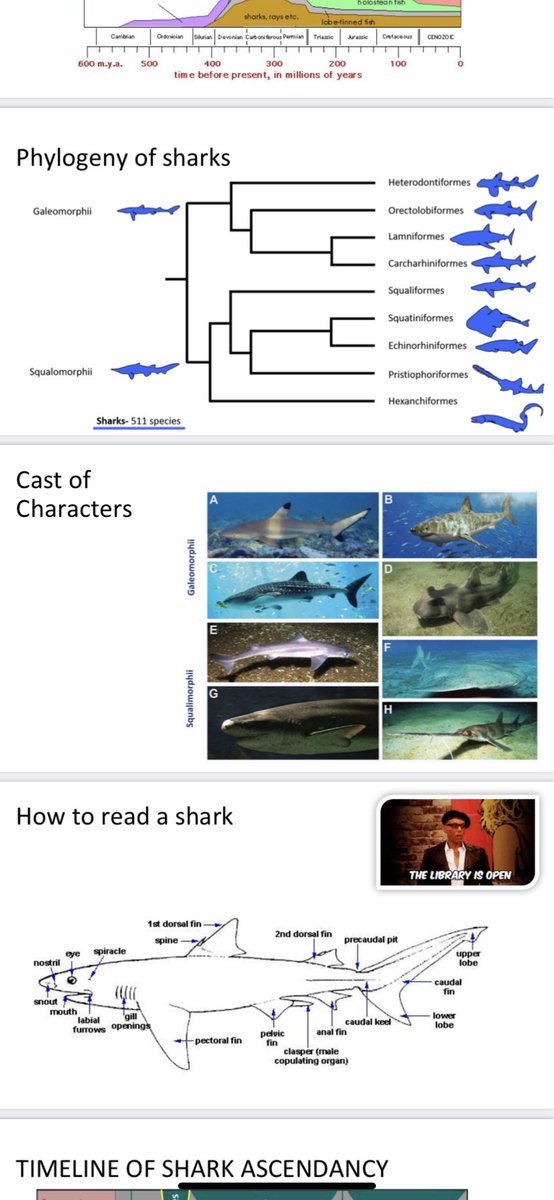 Dr. Kayla C. Hall tweet media