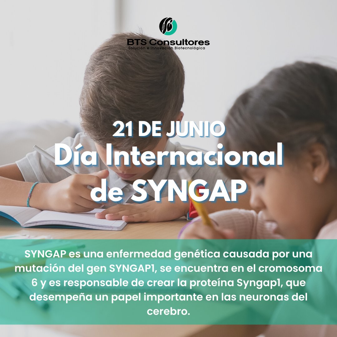 BTSCONSULTORES's tweet photo. 📍Hoy 21 de junio se celebra el Día Internacional de SYNGAP, creada  para sensibilizar y concienciar a la población acerca de esta enfermedad rara. 
¡Sigamos difundiendo, comparte esta información! https://t.co/owi0faAOGx