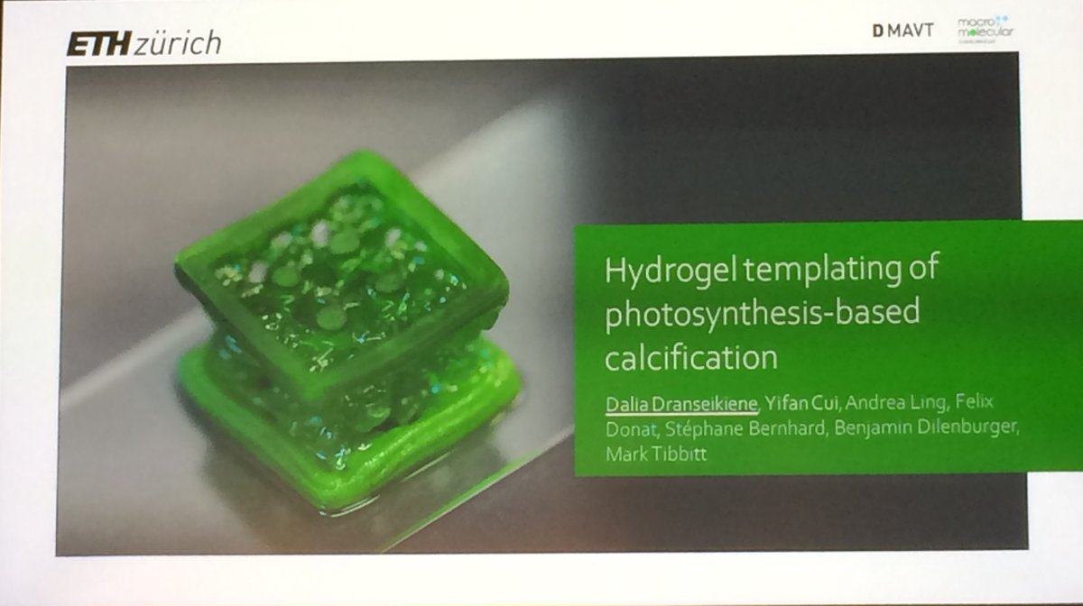Dalia Dranseikiene on hydrogel templating of photosynthesis-based calcification at #ELM2022 h/t  <a href="/mtibbitt/">Mark Tibbitt</a> lab shining a light on  #syntheticbiology #engineeredlivingmaterials #ELM <a href="/LSCLifeMat/">LSC Living Therapeutic Materials</a>