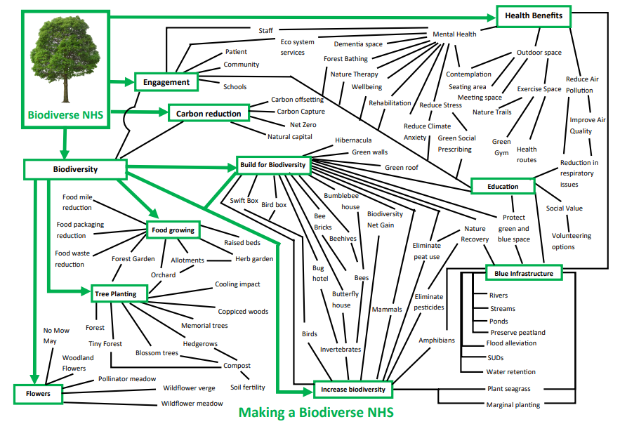 alexiskeech's tweet photo. #MedTwitter and #GreenNHS world
What am I missing on my #BiodiverseNHS mind map?

I think I have most of the biodiversity impacts that we can have for the NHS and the population of the UK. https://t.co/fngPzWO6qQ