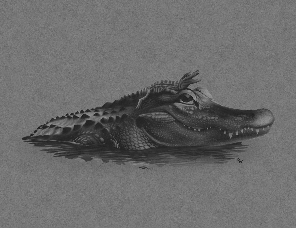 Dr. Rose Wayne tweet media