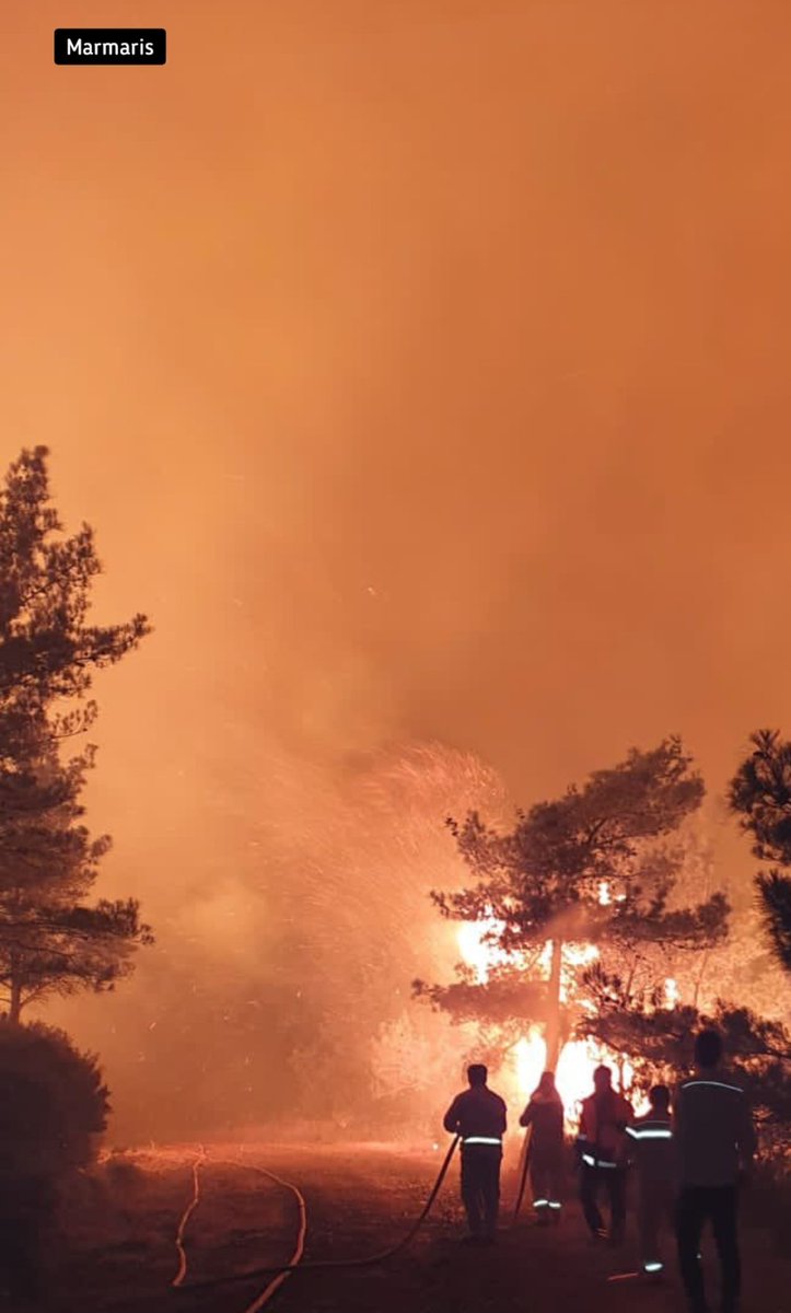 kolektifler's tweet photo. Yine yaz yine yangınlar çıkıyor.

Marmaris'te sebebi belli olmayan bir yangın çıktı çokca canlı hayatını ve yaşam alanını kaybediyor

Türk Hava Kurumu'nun uçakları hemen yangın bölgelerine gönderilmeli, canlıların yaşam alanı korunmalı, yanan yerler otellere verilmemeli
#marmaris https://t.co/iCByhLxEud