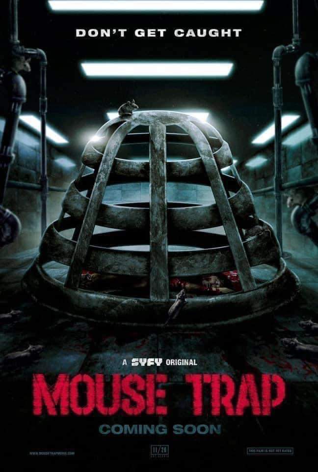 Esotericat_mx's tweet photo. ¿Se imaginan cómo sería una película de terror basada en alguno de estos juegos de mesa? ¡Amigos, sólo hay que ver los posters para querer que fuera algo real! #peliculasdeterror #HorrorMovies #terrorconhumor #HorrorFan #juegosdemesa #MIEDO https://t.co/yozbuRcwXP