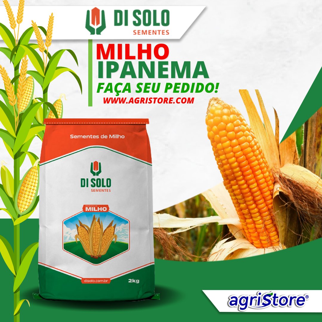 AgriStoreBR's tweet photo. MILHO TRIPLA APTIDÃO
GRÃO, SILAGEM E MILHO VERDE
🌽
⠀
»» Elevado potencial de produção:
»» Baixo investimento
»» Maior tolerância às doenças
»» Ótimo custo
»» Boa janela de corte, permitindo maior tempo para operação de ensilagem
»» Excelente qualidade de grão
»» Ciclo Precoce https://t.co/LKvRtW7esD