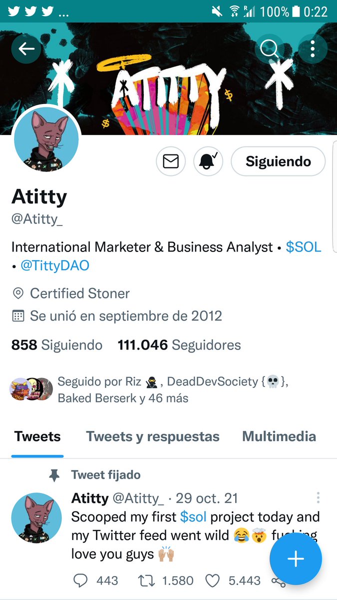 Tess🧹 tweet media