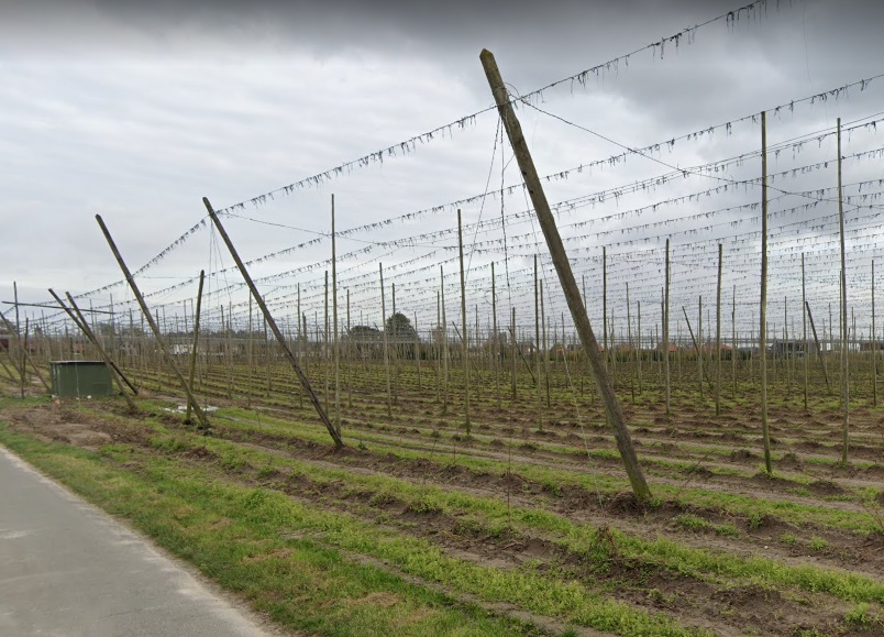 British 6-inch howitzer on the road, "dans les houblonnières" ("among the hop-fields") near Poperinge. Then and now.