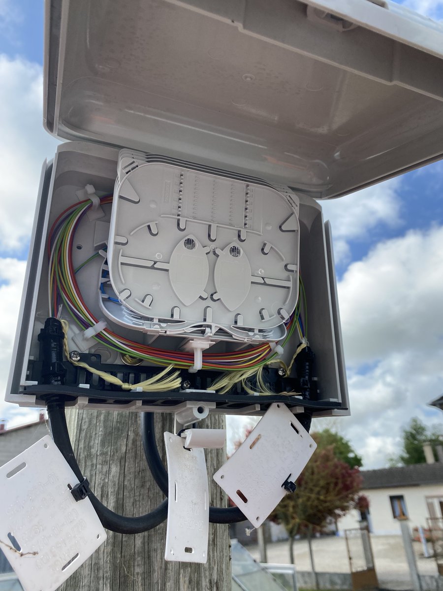 LosangeFibre tweet media