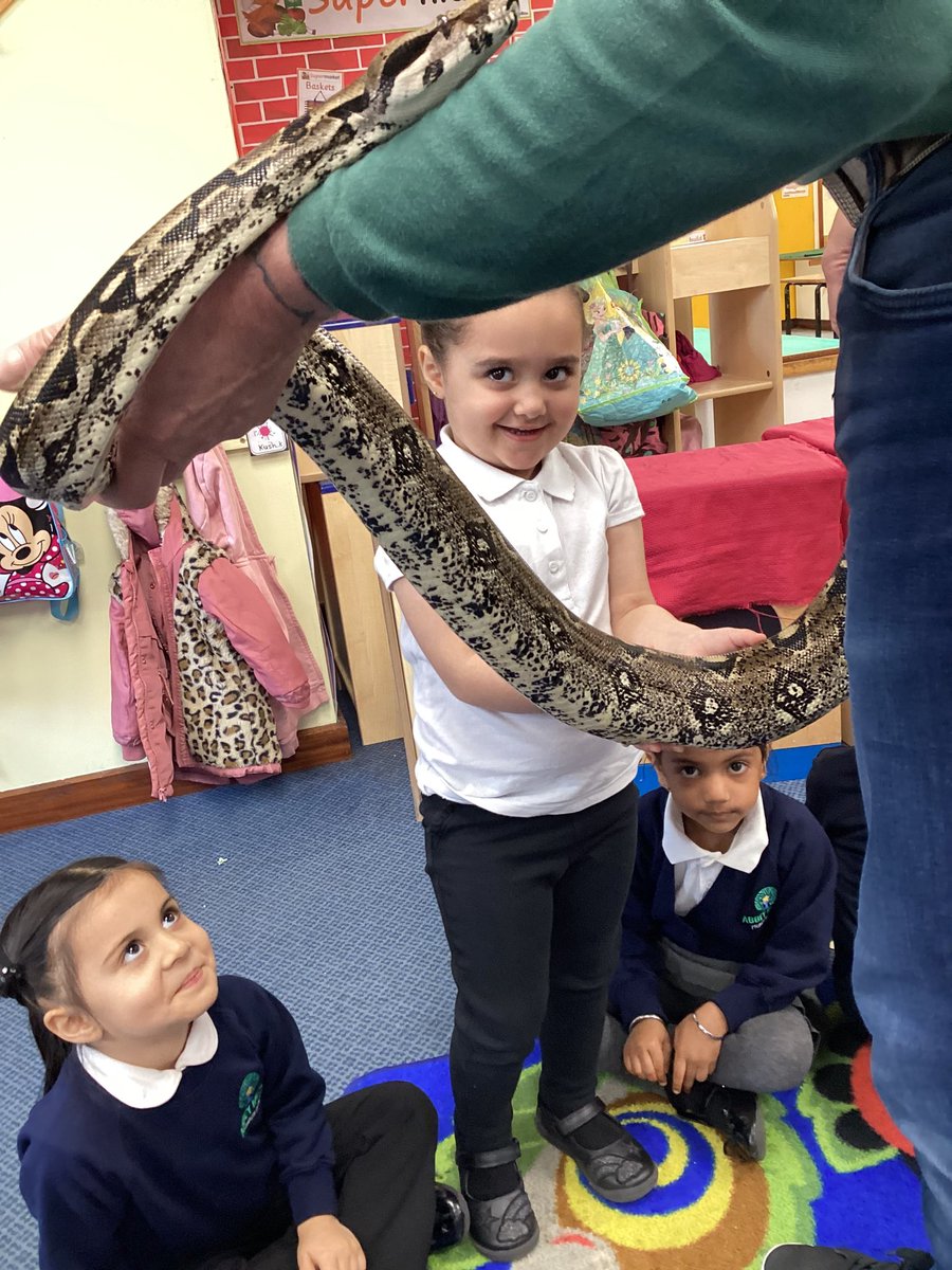 MissModi21's tweet photo. Nursery PM have been enjoying the mini beasts workshop. They looked at different mini beasts and enjoyed exploring the different textures. @AbbeyMead_TMET @MeetTheBeasts #minibeasts https://t.co/UrEWsjq3zs