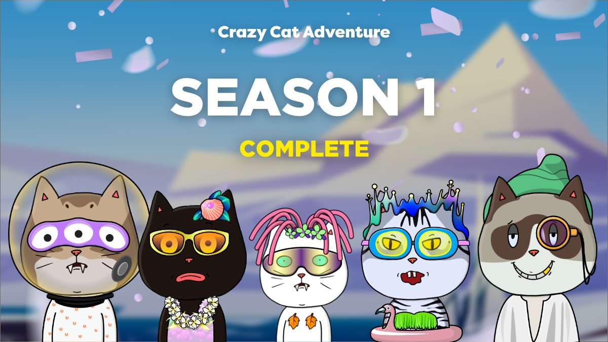 CrazyCatAdventure(미고탐) tweet media