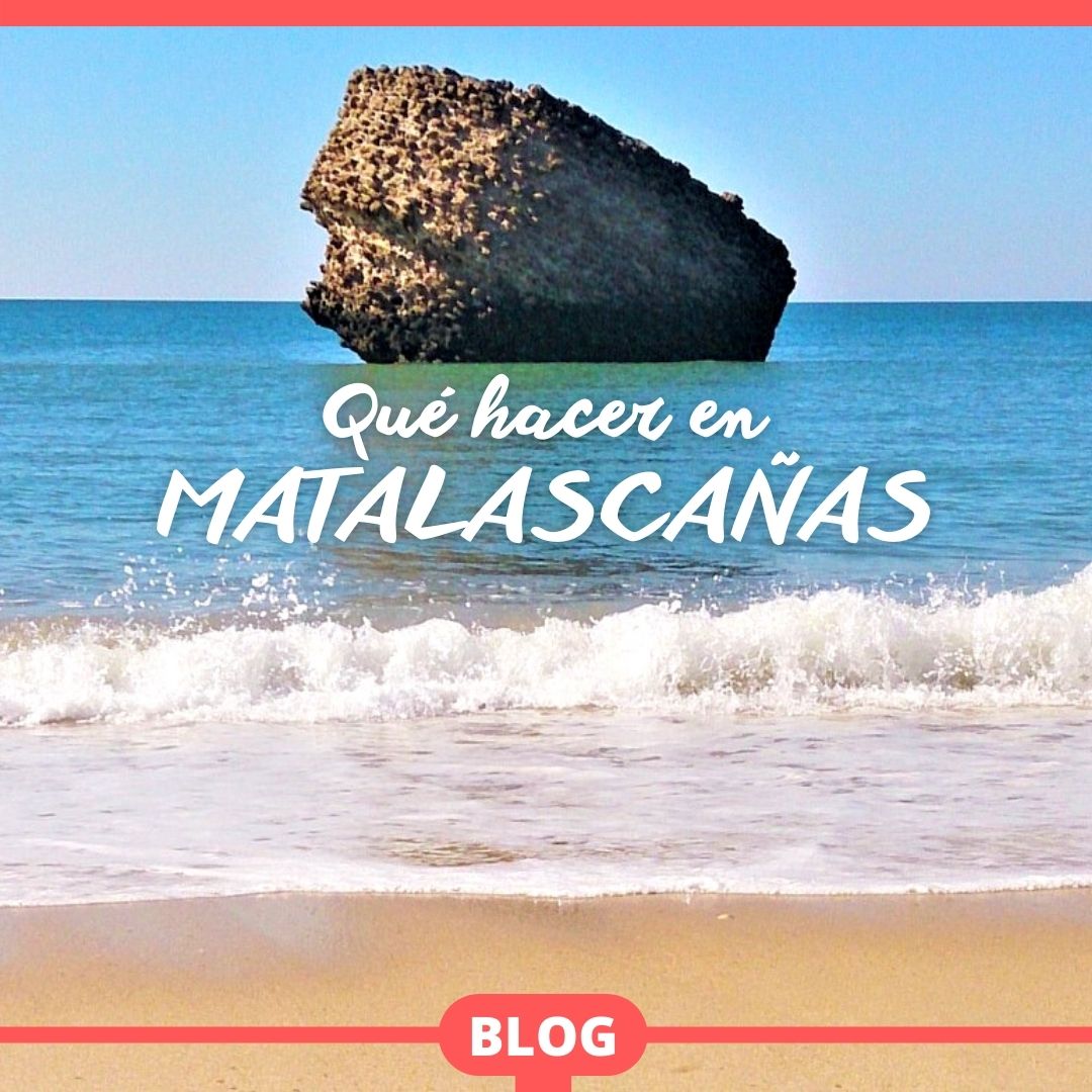 huelvaexp's tweet photo. 🏖 "Qué hacer en #Matalascañas".
Para que disfrutes al máximo de tu estancia en el núcleo urbano más oriental de #Huelva.

Esperamos serte de ayuda.
https://t.co/Wvy7Oavkyv

#huelvaexperiences #turismo #senderismo #playa #naturaleza #gastronomia #deporte #turismoenHuelva #Almonte https://t.co/9JGvvUFice