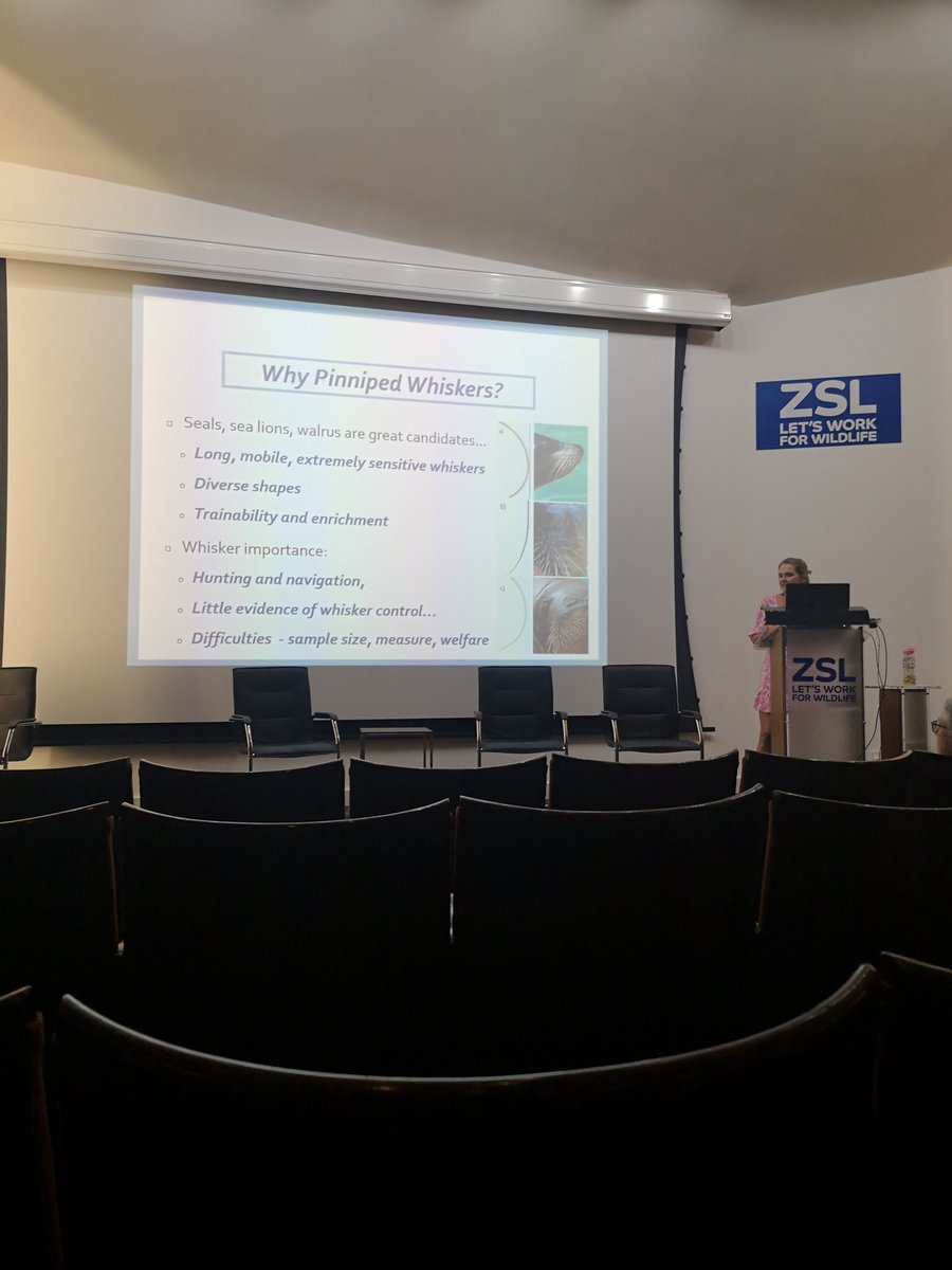 naomilfrost's tweet photo. My favourite talk so far by Dr. Alyx Milne! Really exciting to think about the applications to pinniped enrichment #biazaresearch https://t.co/ocby3YEliN
