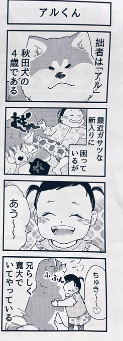 「アルくんとシュシュちゃん」1話は、こちら#4コマ漫画 #4コマ#秋田犬 #猫 #赤ちゃん #ソマリ 