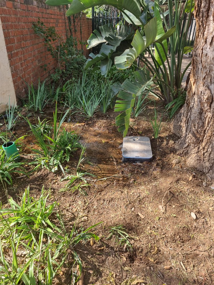 afor_des's tweet photo. Leaking for 3 days now near 67 Satara Avenue,  Gallo Manor, Sandton https://t.co/MyMNOmNUMq