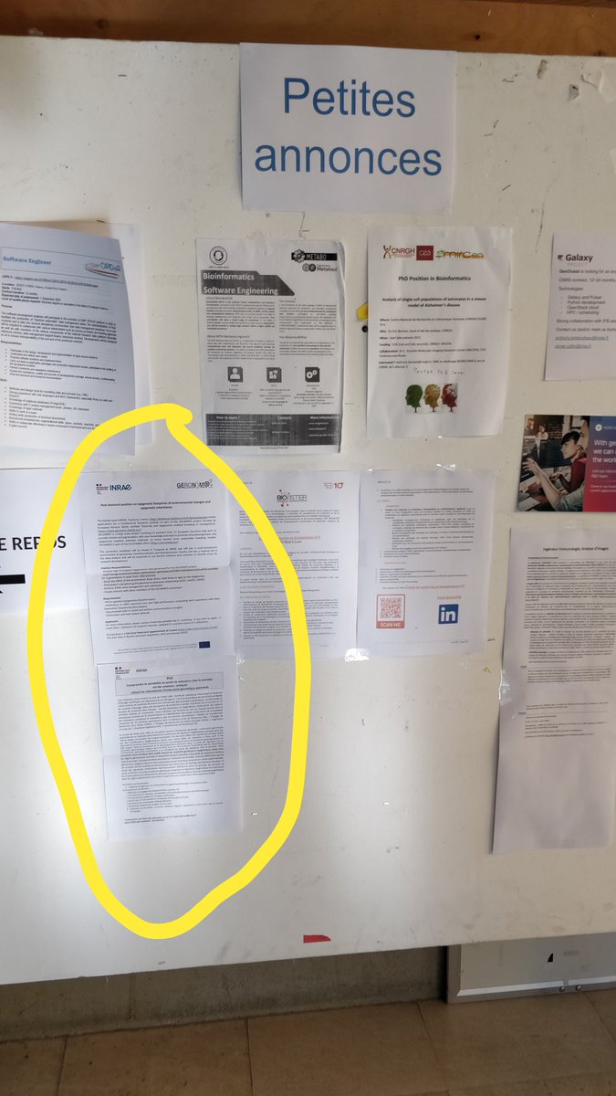 We have two job offers on display at #JOBIM2022 <a href="/jobim2022/">Jobim2022</a> ⤵️
Come work with us in Toulouse in 🐷🐣🐰epigenetics