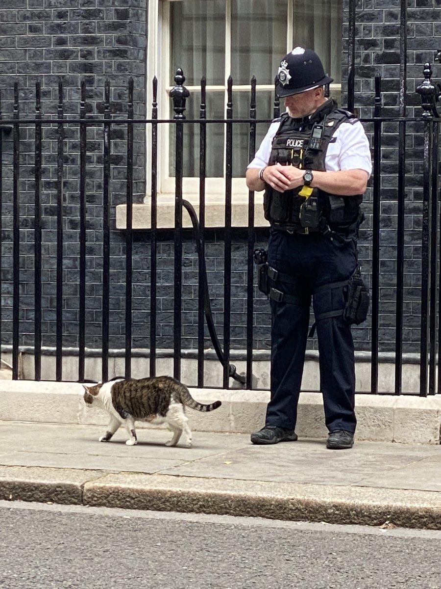 “You off too, mate?”

⁦<a href="/Number10cat/">Larry the Cat</a>⁩