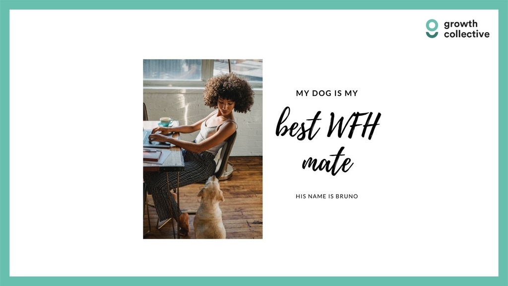 Growth Collective tweet media