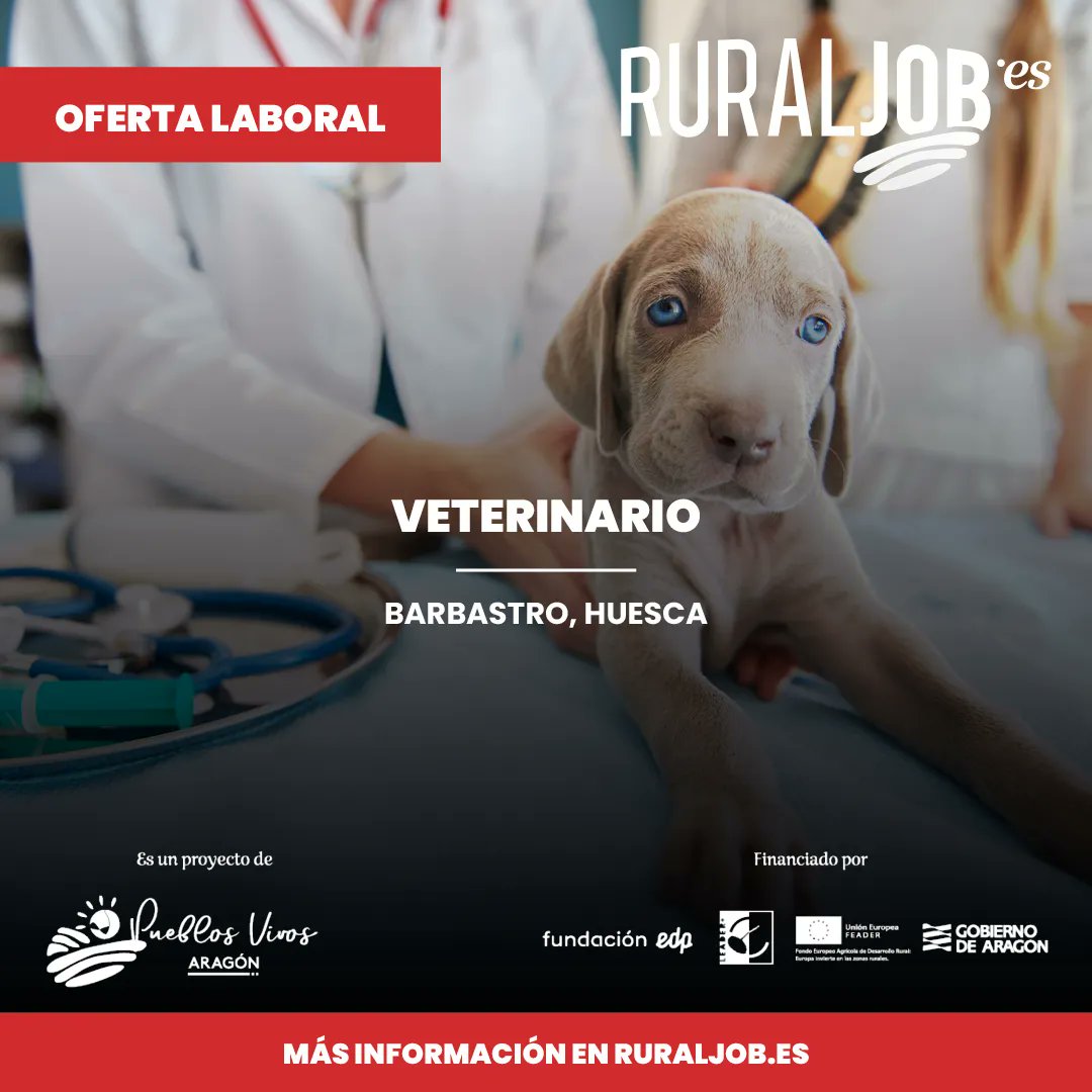 ruraljobES's tweet photo. 🔝 OFERTA LABORAL 🔝
✅ VETERINARIO.
✅ Misión del Puesto: Veterinario para prestar servicio, ayuda y apoyo a explotaciones en granja, principalmente porcinas.
✅ Dónde: Barbastro, Somontano, Huesca.
Más información en: https://t.co/iCtZhplApD https://t.co/c4bR4WqnFt