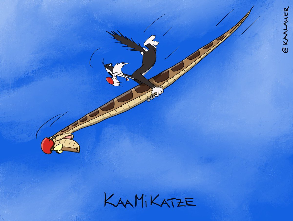 KaamiKatze #Kaalauer #Kamikaze