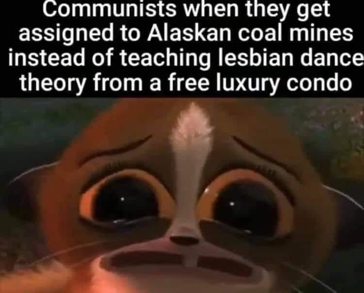 Vivisector66 tweet media