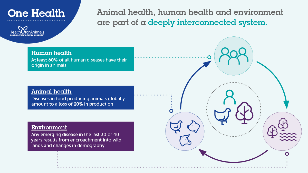 HealthforAnimals on Twitter: HealthforAnimals on Twitter: