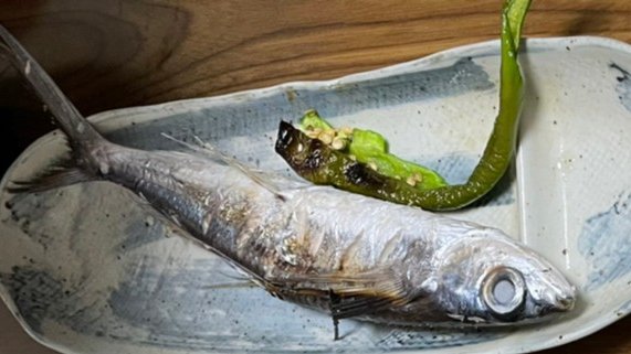 Cybermiso Cybermiso Twilog