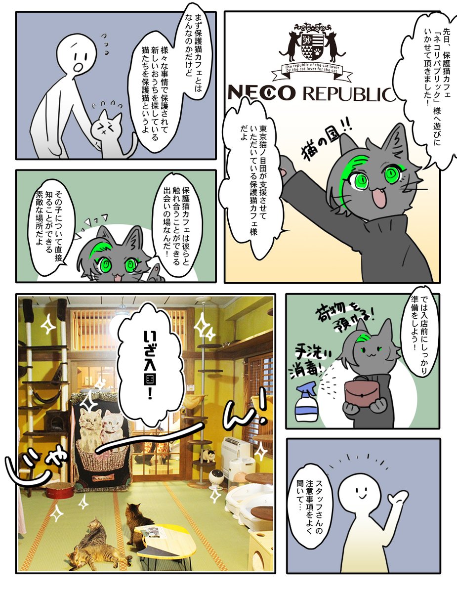 保護猫カフェ ネコリパブリック東京お茶の水店 Neco Tokyo Twitter