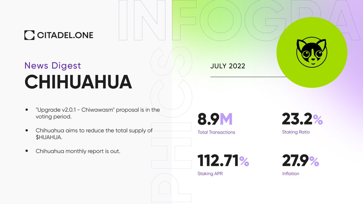 🗞 Chihuahua News Digest $HUAHUA courtesy of Citadel one : r/ChihuahuaChain